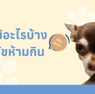 ผลไม้ที่สุนัขห้ามกิน