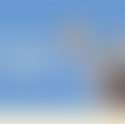 แมวอ้วกเป็นฟอง