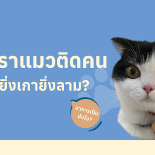 เชื้อราแมวติดคน อาการเป็นแบบไหน?