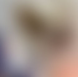 หมาไม่กินข้าว ทำอย่างไรดี? สาเหตุที่พบบ่อย พร้อมวิธีแก้ไขที่เจ้าของควรรู้