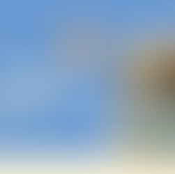 ลูคีเมียแมว คืออะไร? โรคร้ายที่เจ้าของแมวควรรู้และป้องกันให้ทัน