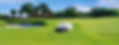 Thor - Commercial Robotic Lawnmower