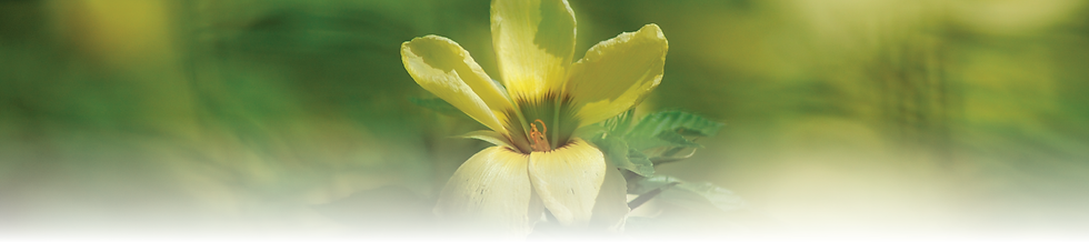 BANNER TANGGUNG JAWAB.png