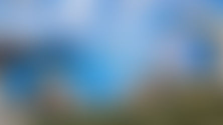 Elevate Your Brand with Custom Graphic Design Services