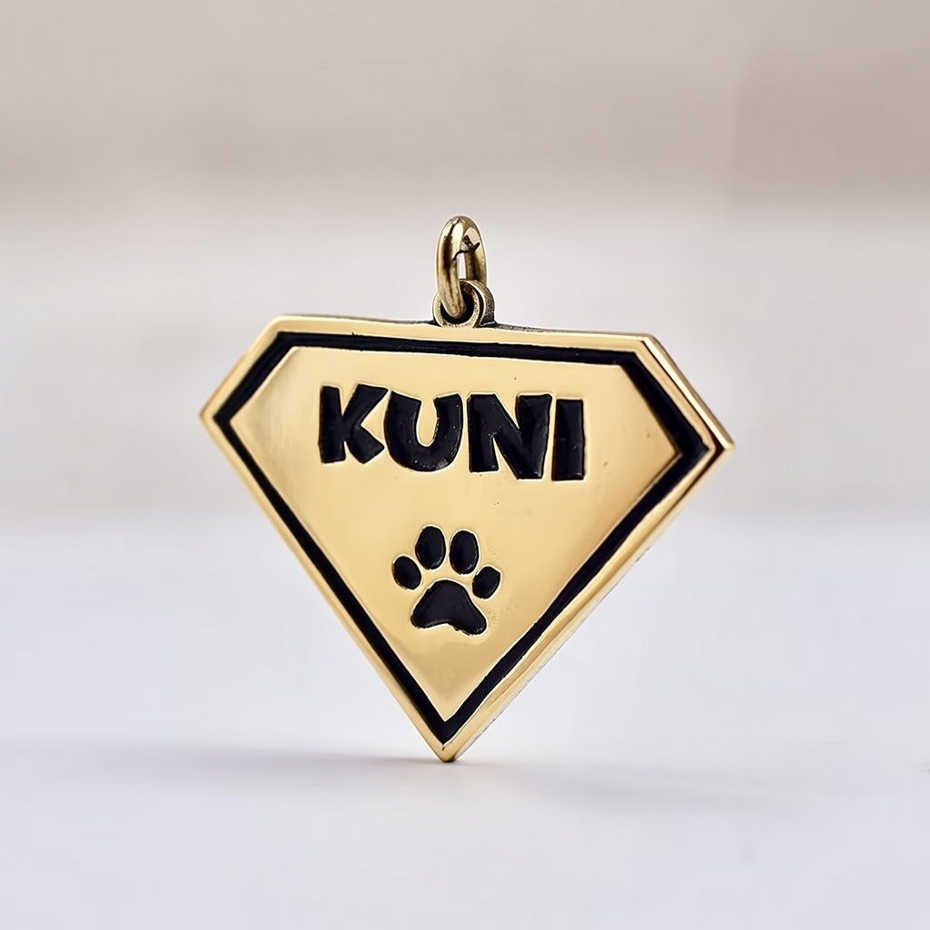 Cat Name Tag Personalized