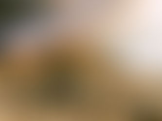 Fire, Grass, Firefighters