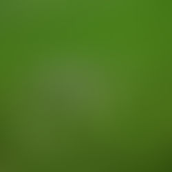 Drones in Agriculture - What Do They Do?