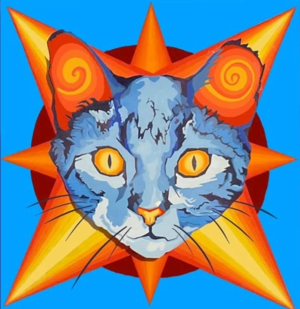 Look At The Cat Exhibition