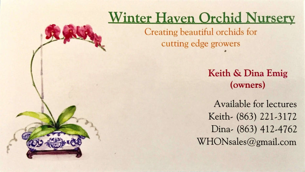 Facebook    https://www.facebook.com/whorchids/