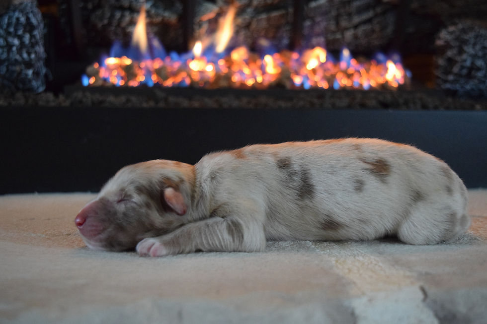 9B67F955-E503-4C00-8B39-D634A97E245C