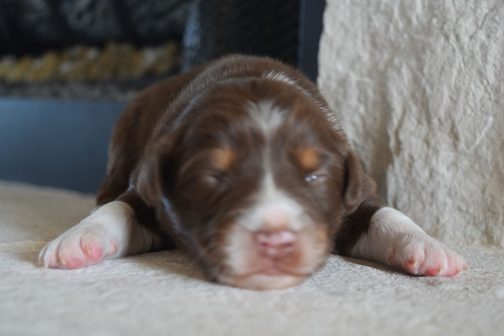 06688872-DA1A-468C-87B4-75C7BDC4175B