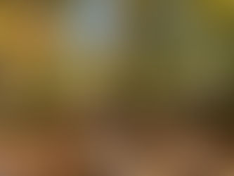 Fall in Love with Yourself