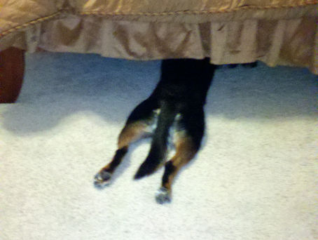 Finding Empowerment (despite a dogged desire to hide)