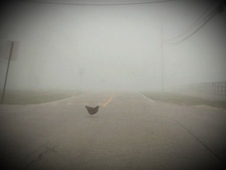 Have You Lost Your Way? Understanding Existential Crises