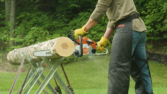 Stihl MS172.jpg
