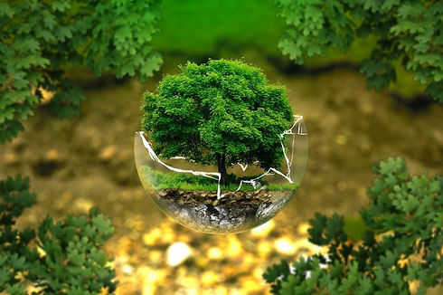 Environmental.jpeg