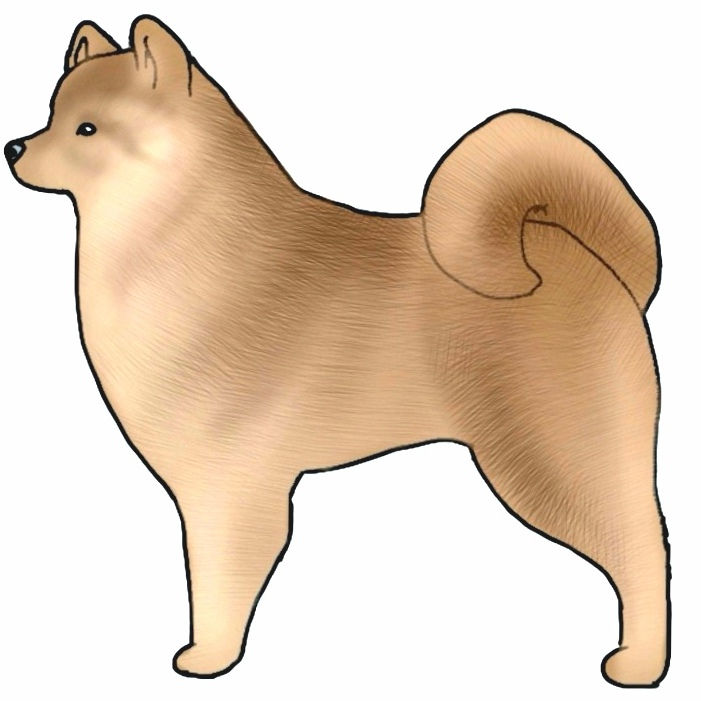 Light Sable