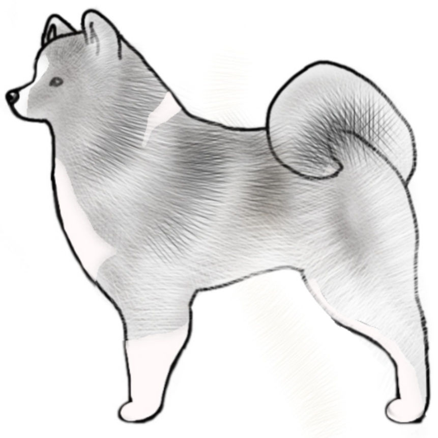 Grey White