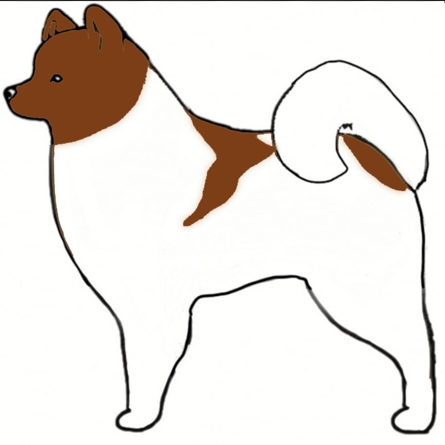 Piebald Copper