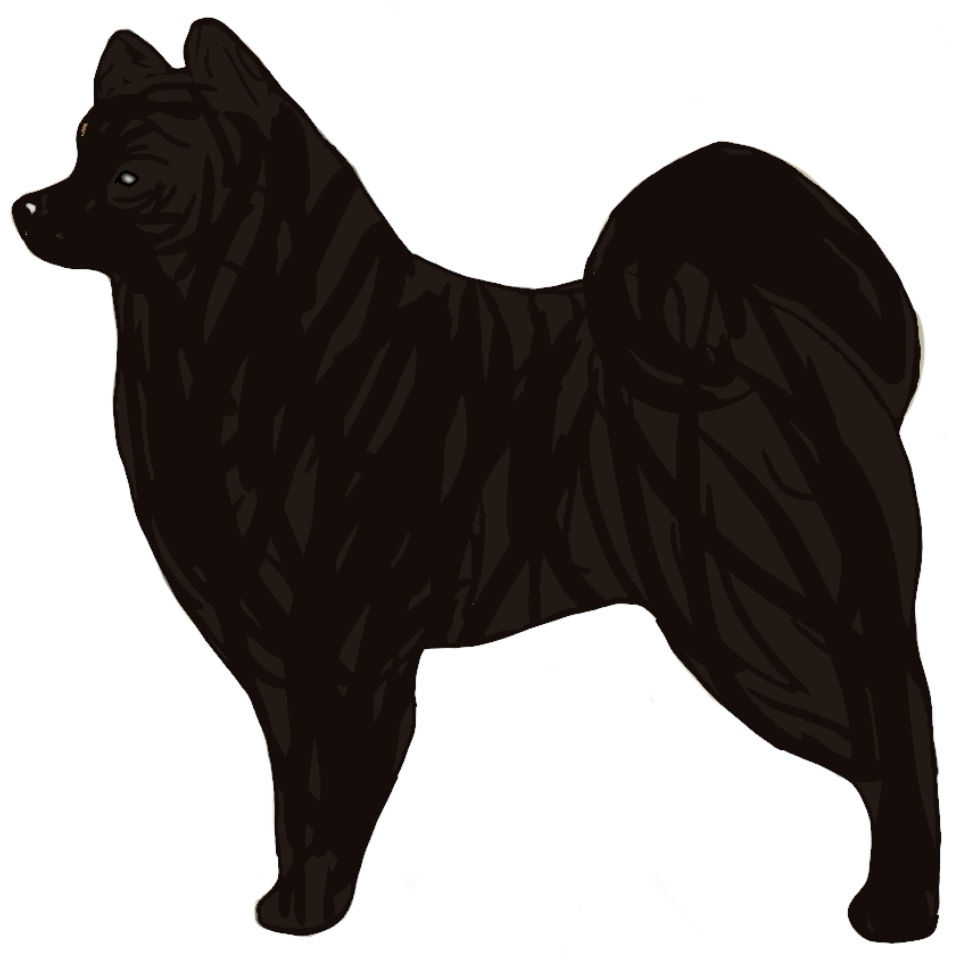 Black Brindle