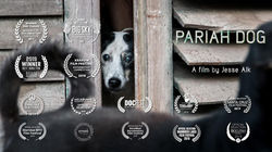 Pariah Dog - Indi Film