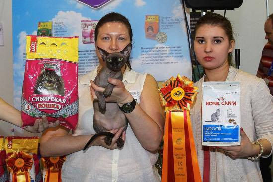 Coco Chanel, SPH, n