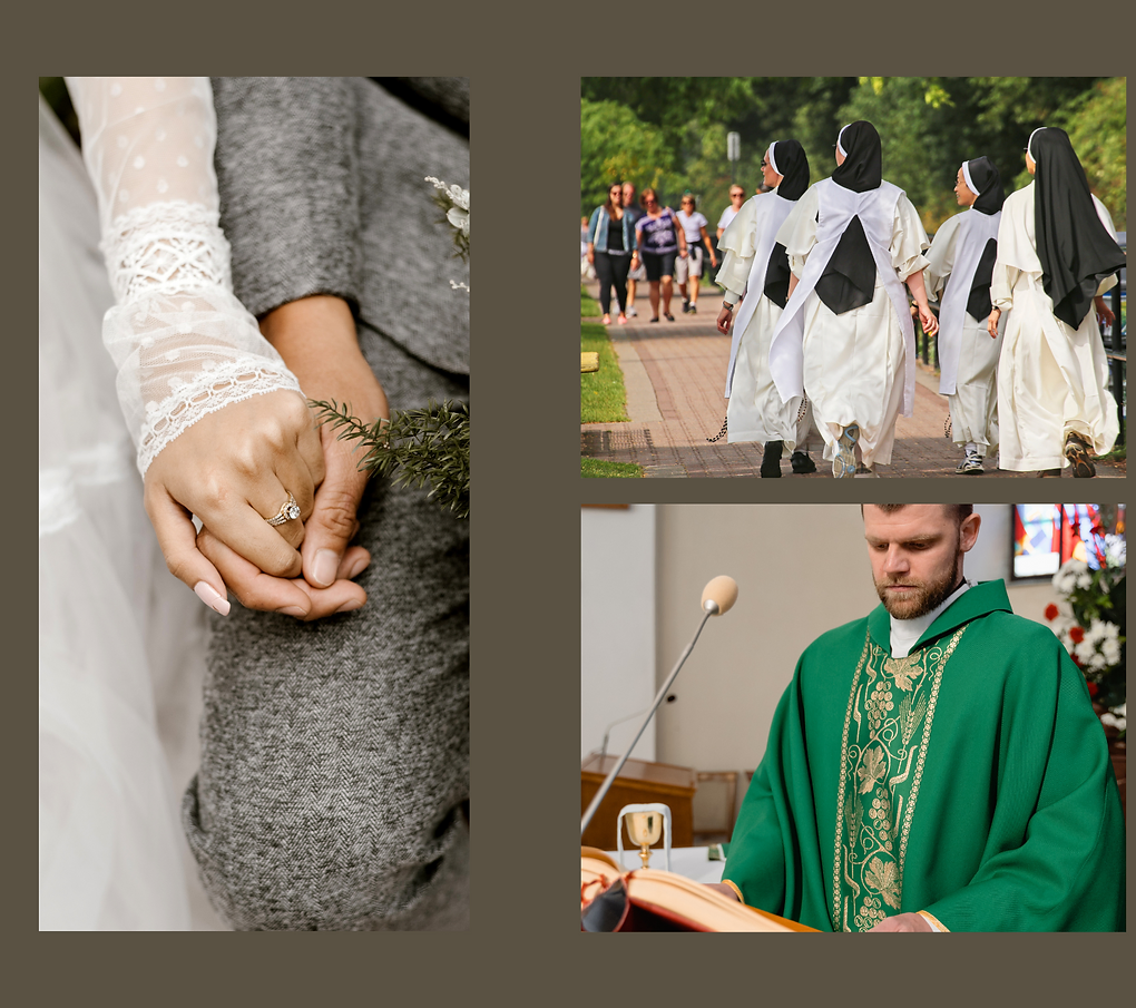 Certificate Program Image And Gift certificate-program-image-and-gift