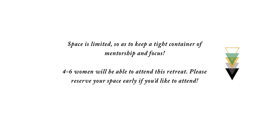 AA WEBSITE 6.png