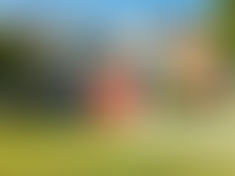 The Open House Survival Guide: How to Avoid Awkward Small Talk and Free Wine Hangovers (From Your Favorite Realtor’s Perspective)