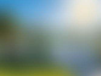 Keeping Your Home Cool and Dry in the Florida Heat: A Survival Guide