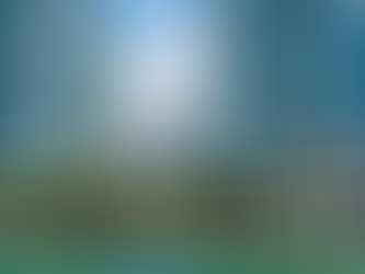 The Investor's Edge: Why International Buyers Still Love Florida Real Estate (July 2025)