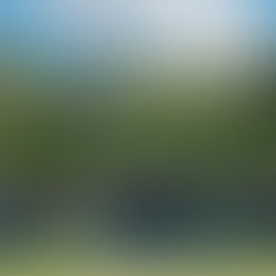 Without Applying the Ladder Tool COP30 Will Fail