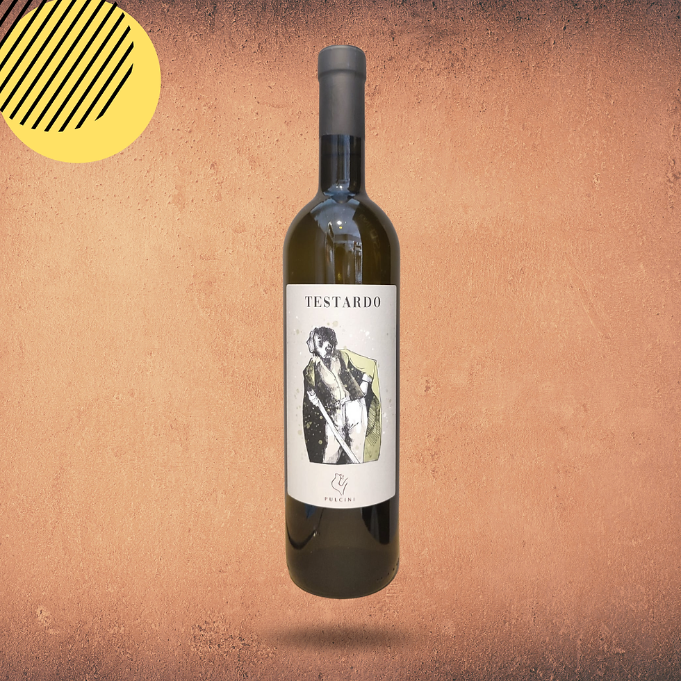 “Testardo” - SIMONE PULCINI