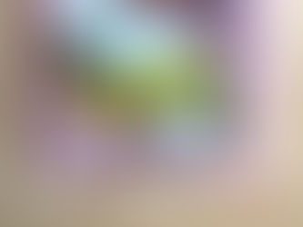 モール型サロンお店紹介『Lapipomme』さま