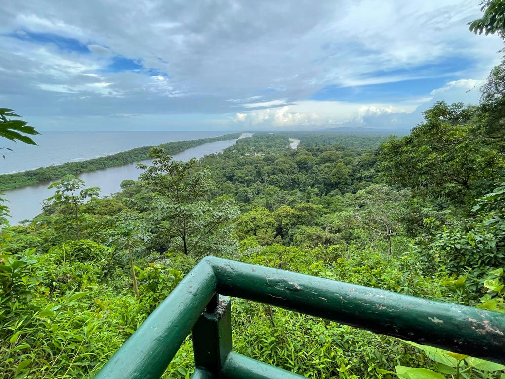 Caminata al Cerro de Tortuguero