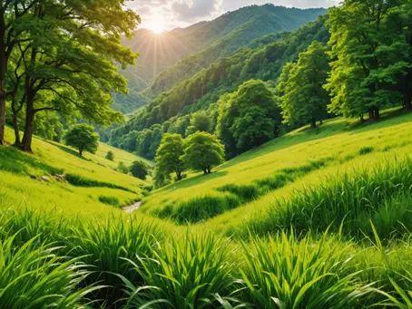 Embracing the Journey: My Personal Transformation to a Conscious and Natural Beauty Lifestyle