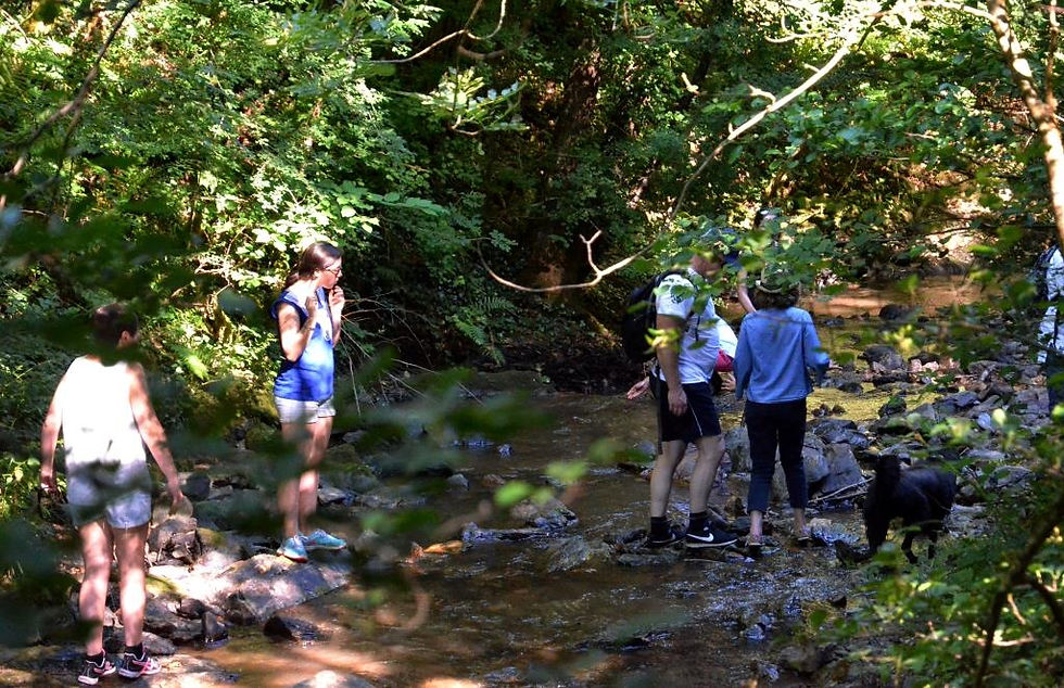 Balade dans les environs