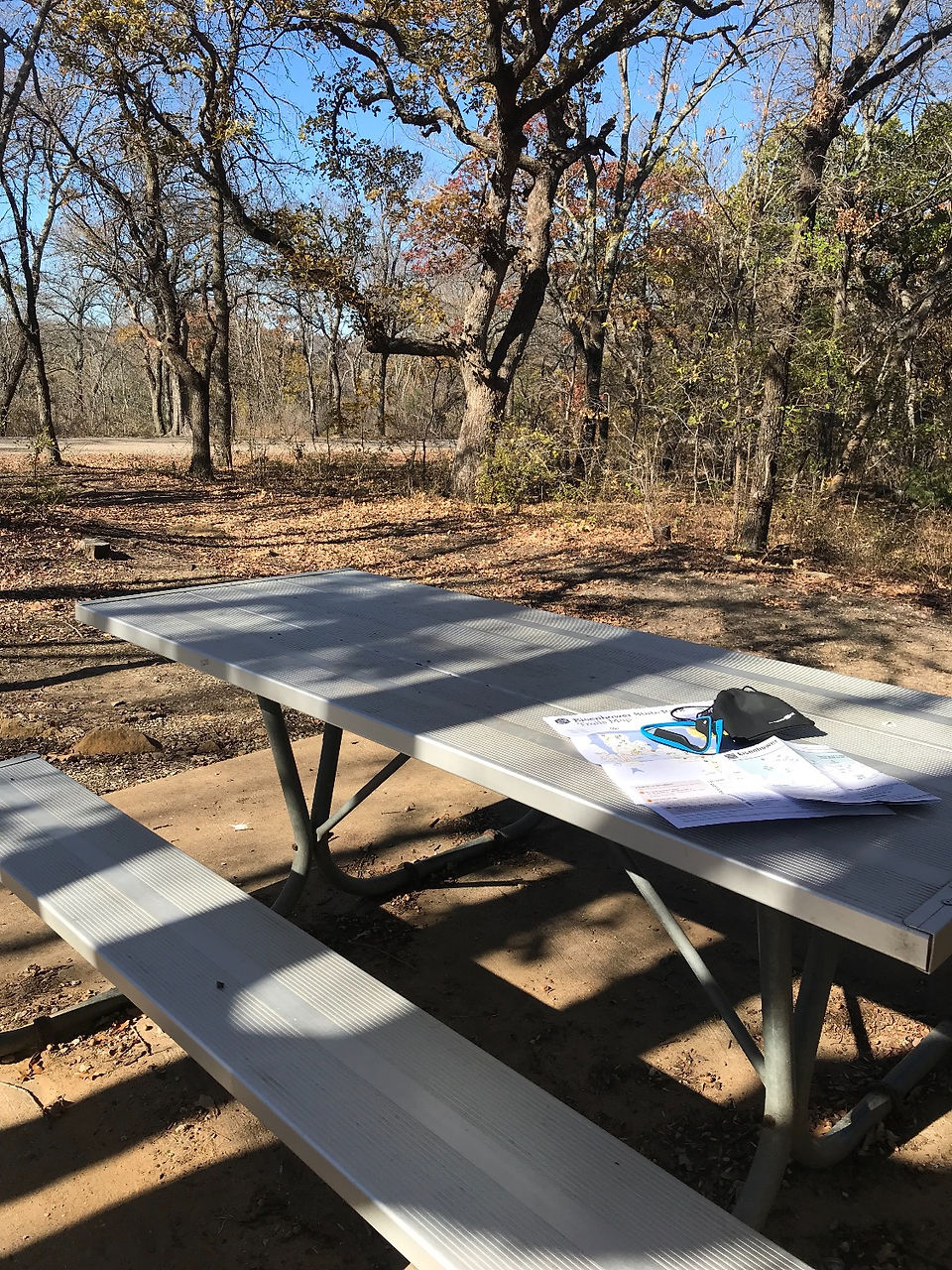 unlike so many parks, the tables in this park are metal and thus do not warp