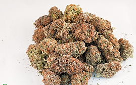 $150 OZ's