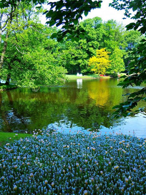 lake and garden.jpg