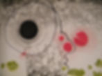 DSCF5930