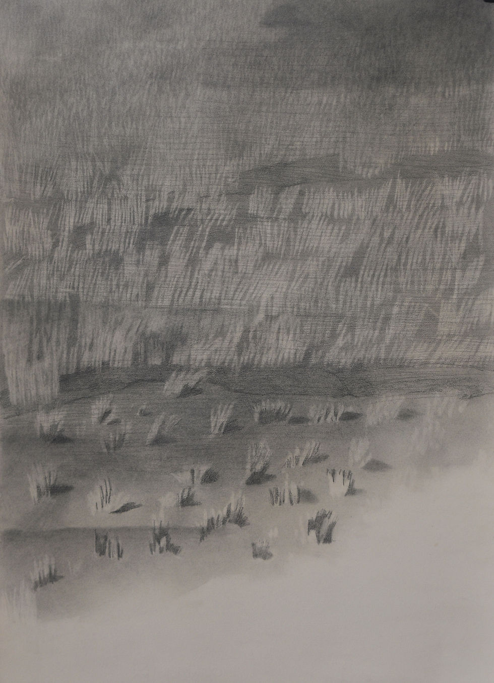 I lost while tracing the grey
