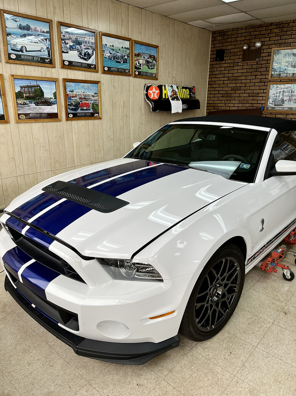 Joe Forish 2014 Shelby