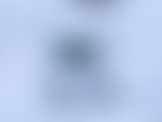 Безальтернативный СПГ