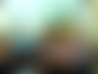 Историю пишут современники