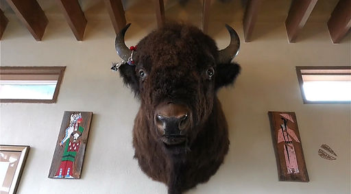 bison.jpg