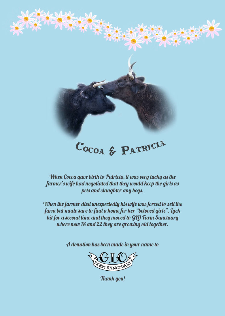 Thumbnail: Cocoa & Patricia's Mother's Day Sunflowers