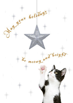 Merry and Bright Star