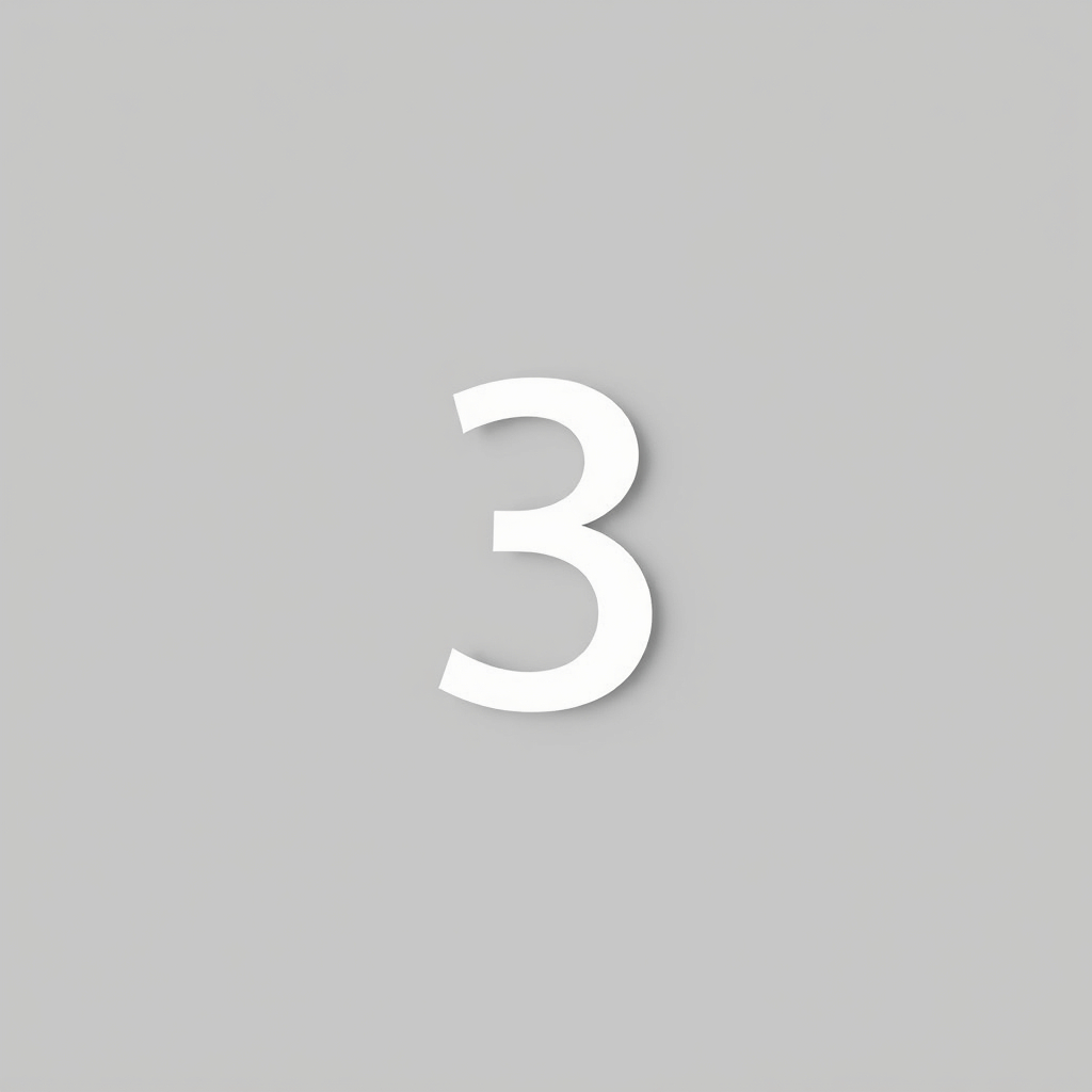 The number 3 (in white) In the middle of a blank grey space.jpg