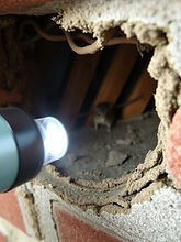 A realistic close-up of a small inspection camera being used to look inside a wall cavity